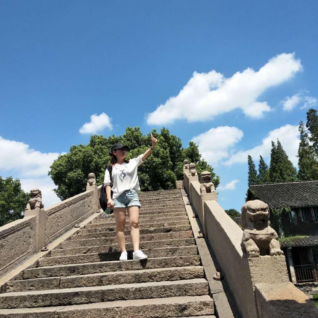 太阳花☀️
