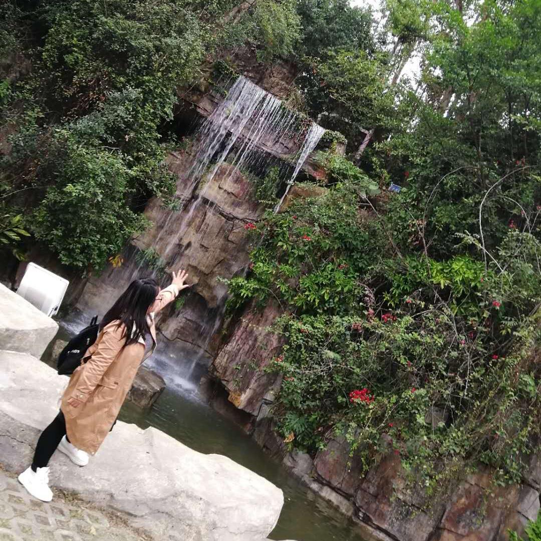 七彩的主人