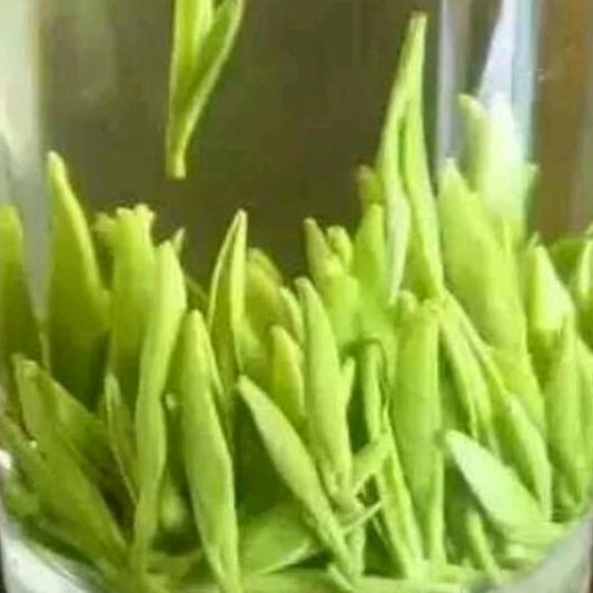 清茶