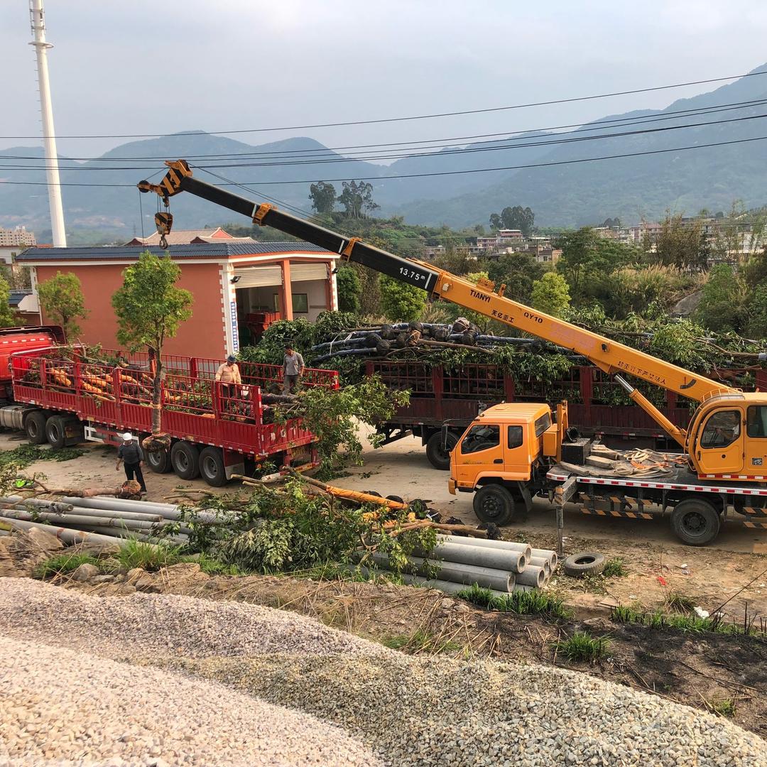 泉州环美园艺有限公司