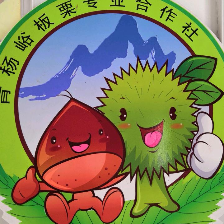临朐县九山镇青杨峪板栗专业合作社