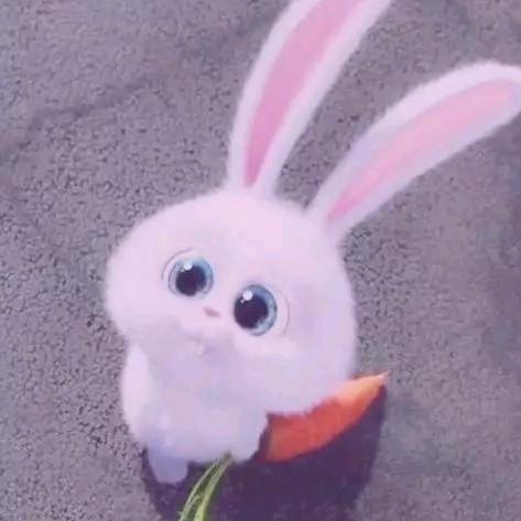 是你的福音呀🌹