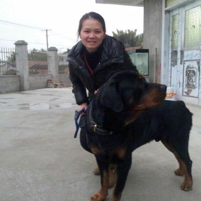 莫姐姐