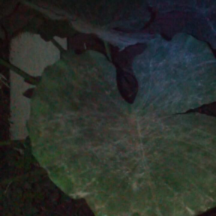 岁月无声