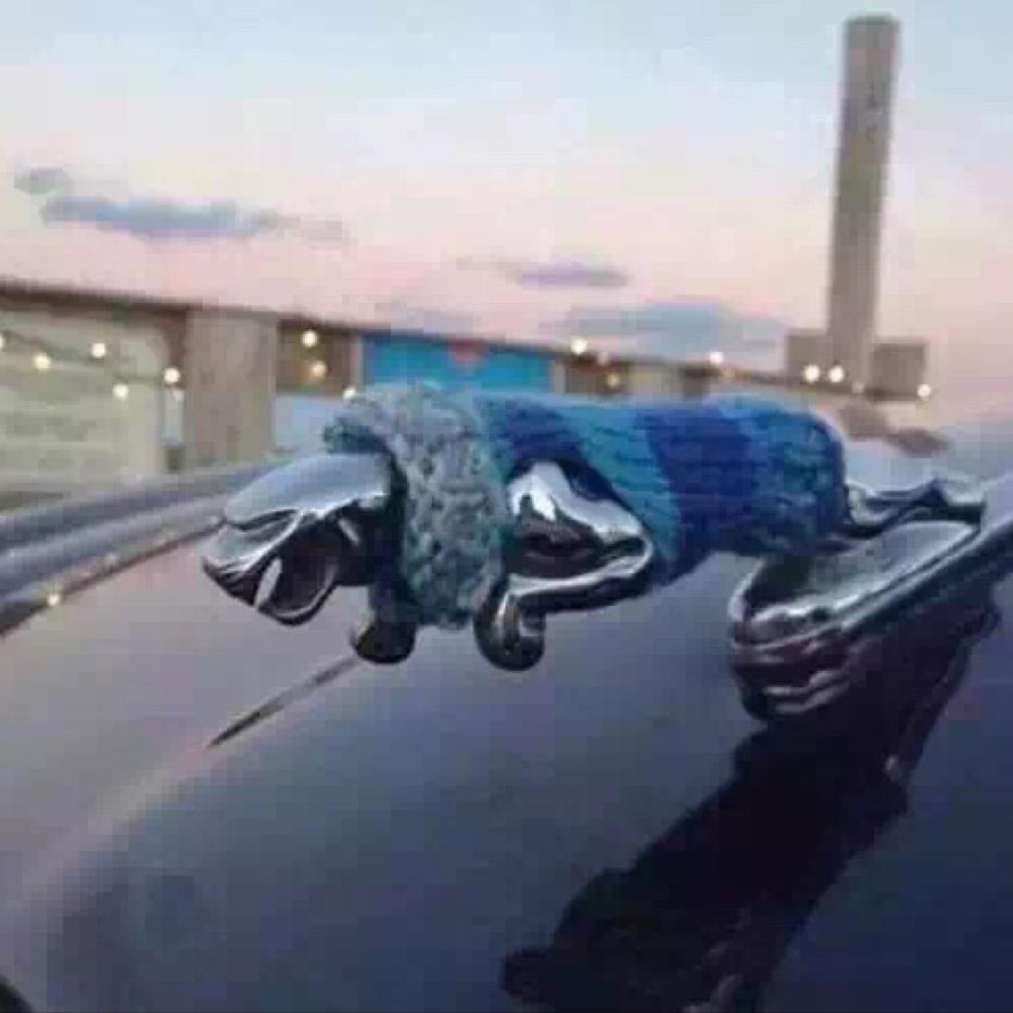 胡悦健身