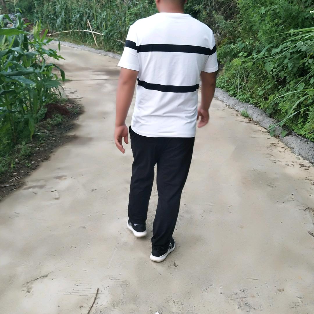 秋林哥
