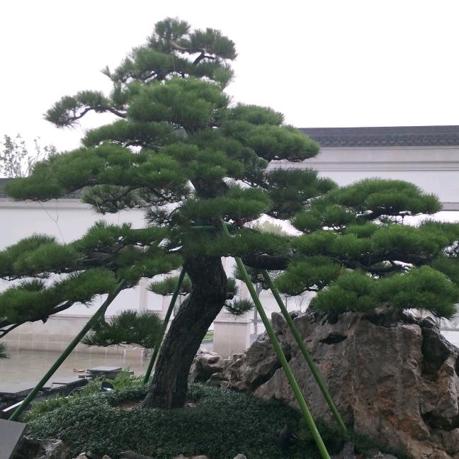 💗᭄꯭໊刘在ོꦿ夏[❤️]᭄里ꦿ࿐🌹