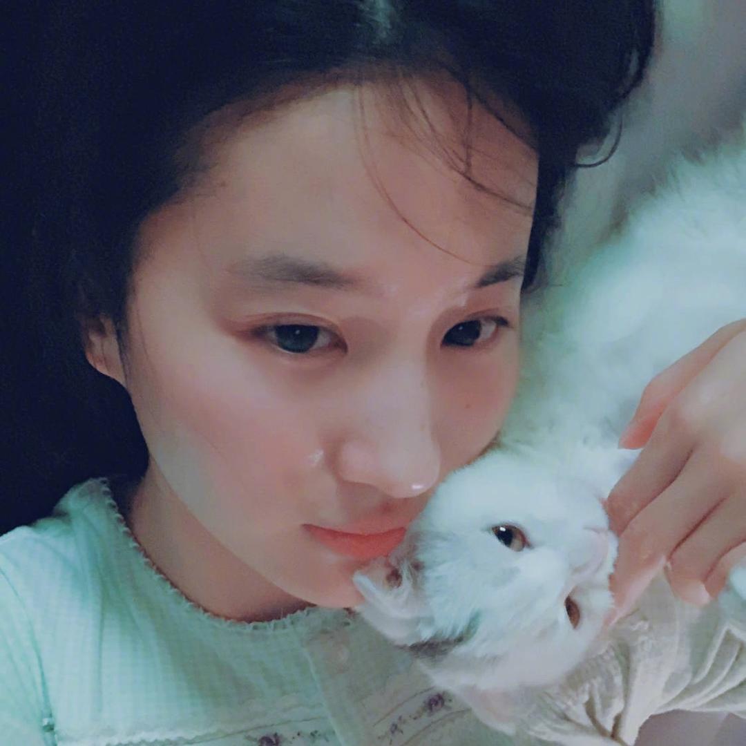 千寻家的小猪猪