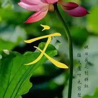 阑珊咖啡