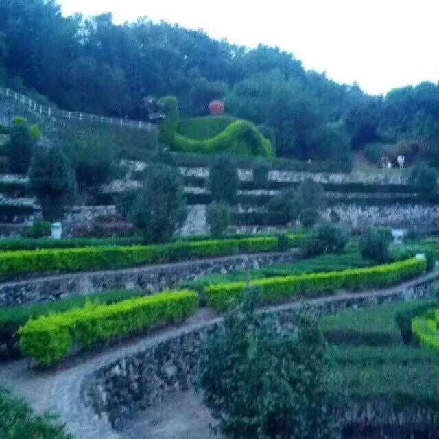 韵芳阁茶业