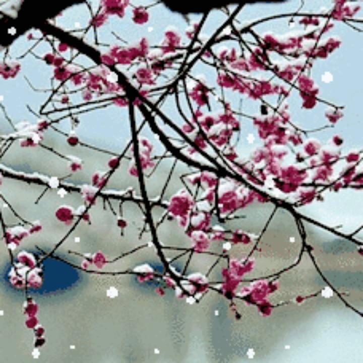 深爱及海