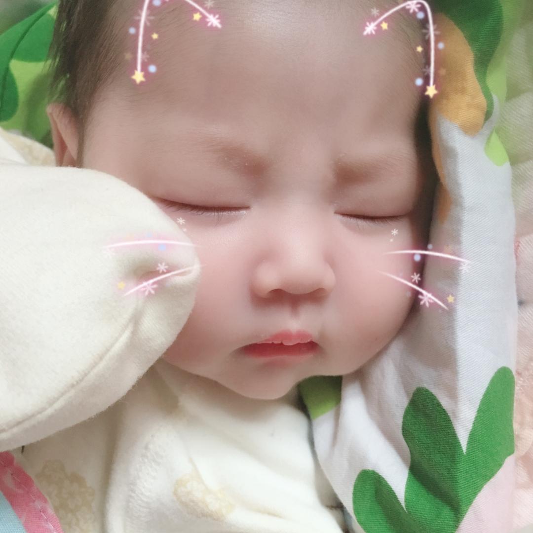 枫铃儿