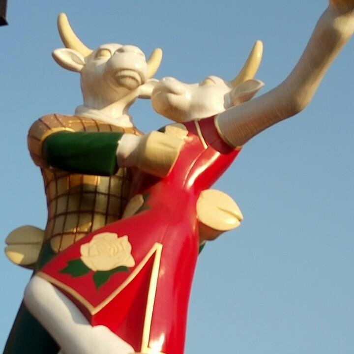 痞坏大叔翘班了哈！🌹钓姨喔！