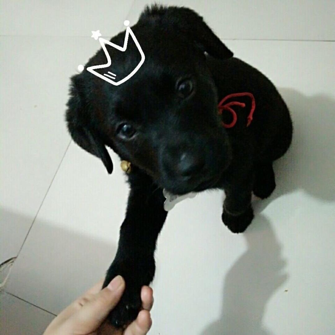 孔孔ᵍⁱʳˡ ⁺ ♡₊⋆