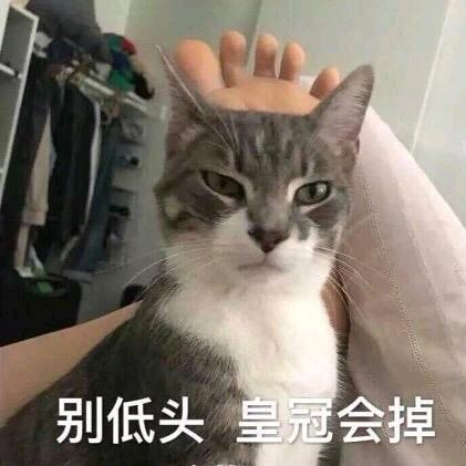 一条青鱼