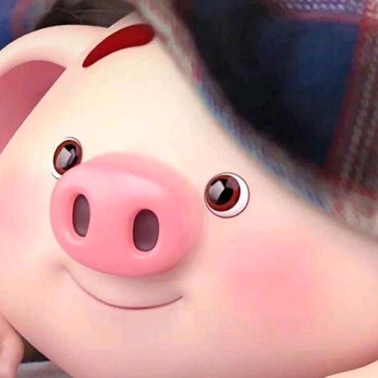 猪 宝 宝