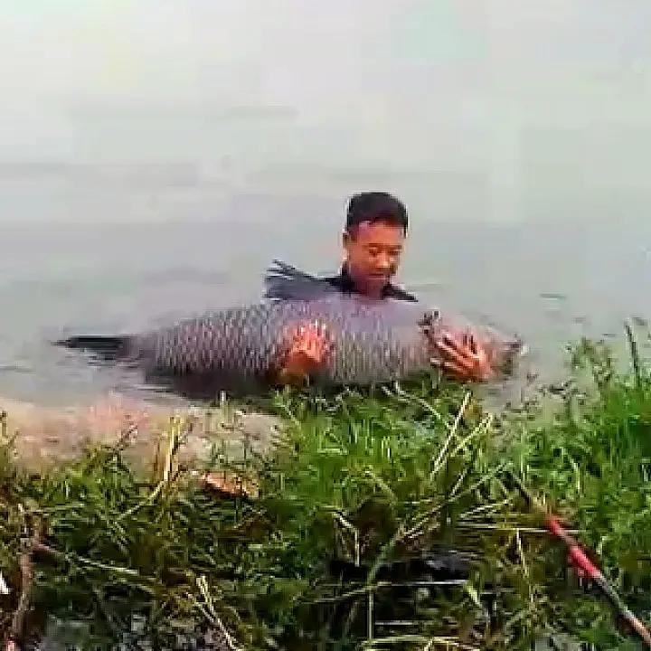寨主钓大鱼