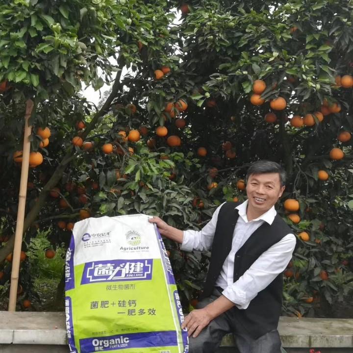 乐山，安谷，王永生农资。