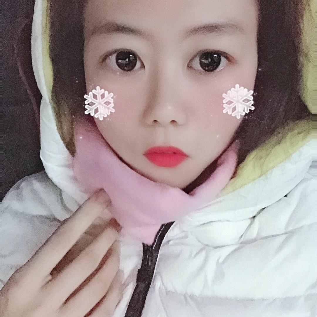 衡水市区家养猫咪