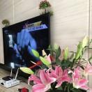 广东艺庭装饰
