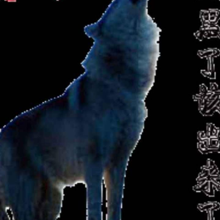 来自北方的狼
