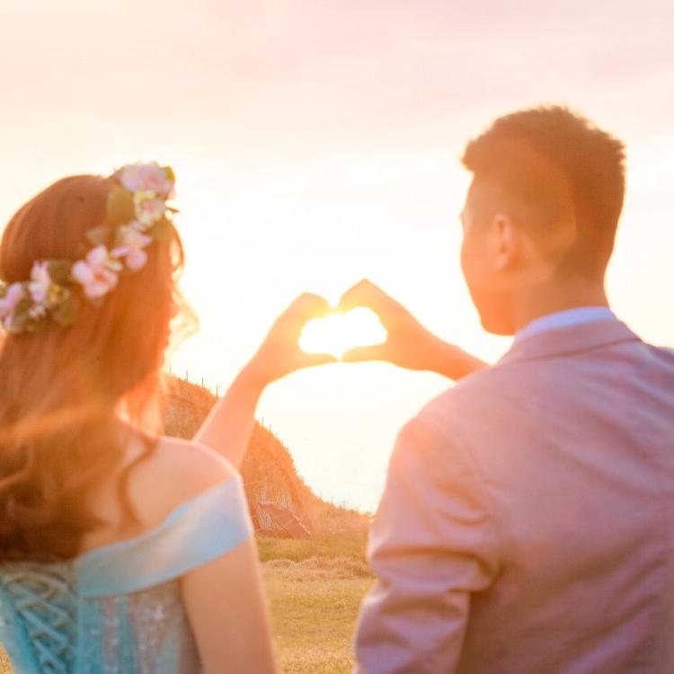 大象和小羊的生活🐘🐑