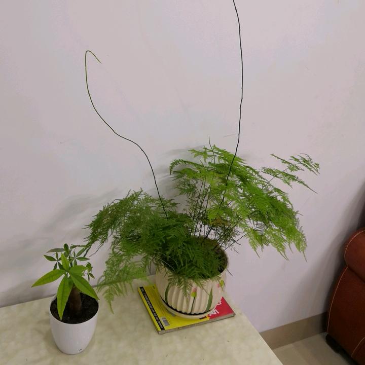 陈马上到