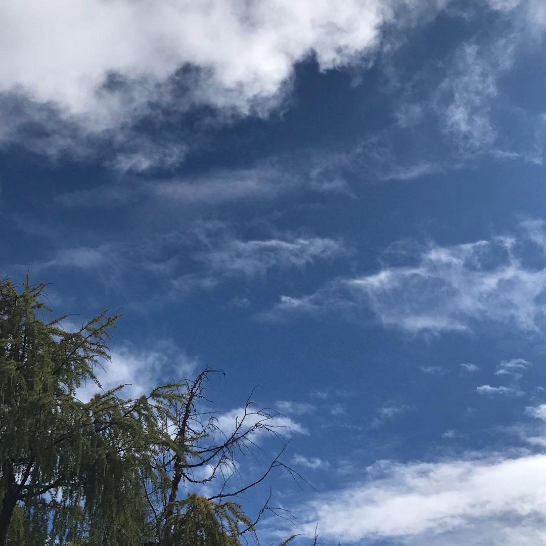 悟
