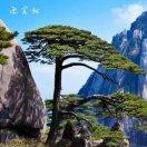 蓝天飞鹰🦅