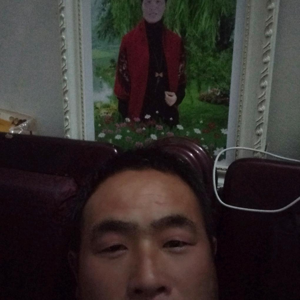 杨