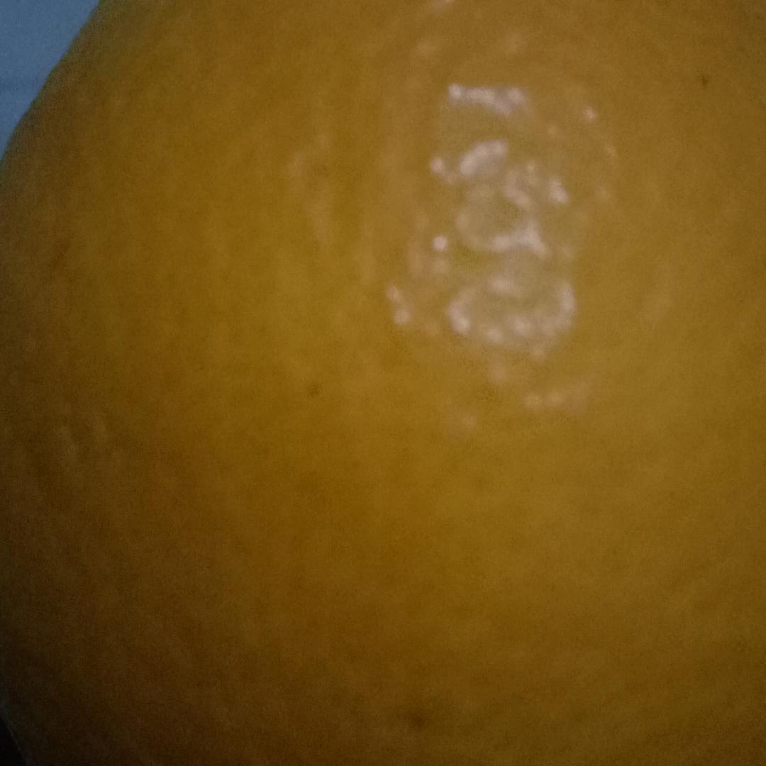 朝朝慕慕