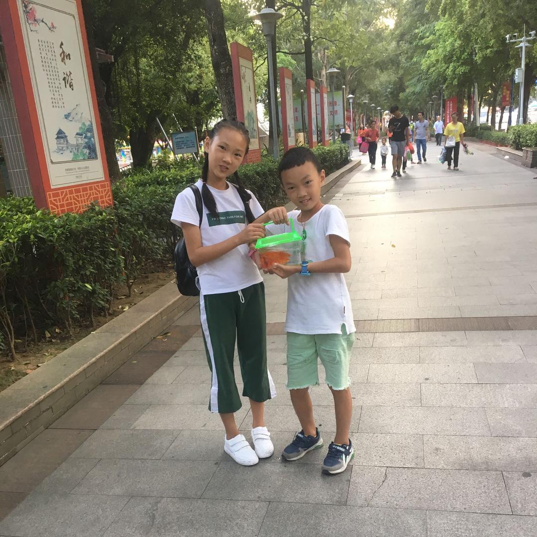 缺心眼的糖葫芦