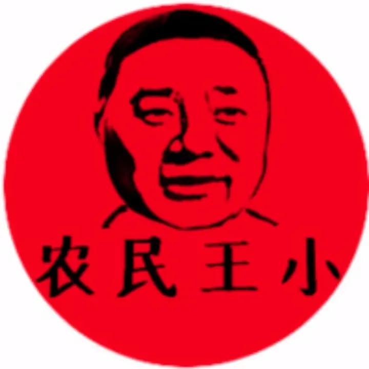 农民王小