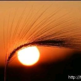 玄甲雷霆一缕青烟忆心寒¹⁰²⁰⁷