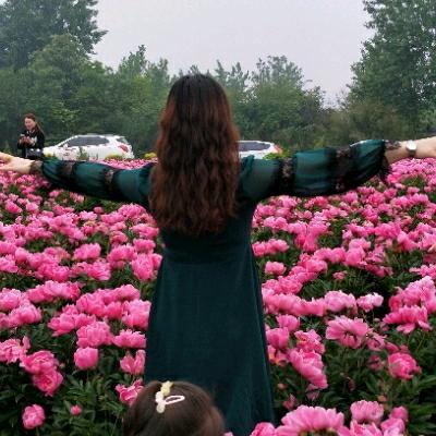 茉莉花开