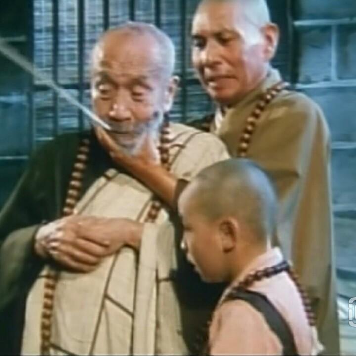 会飞的鱼