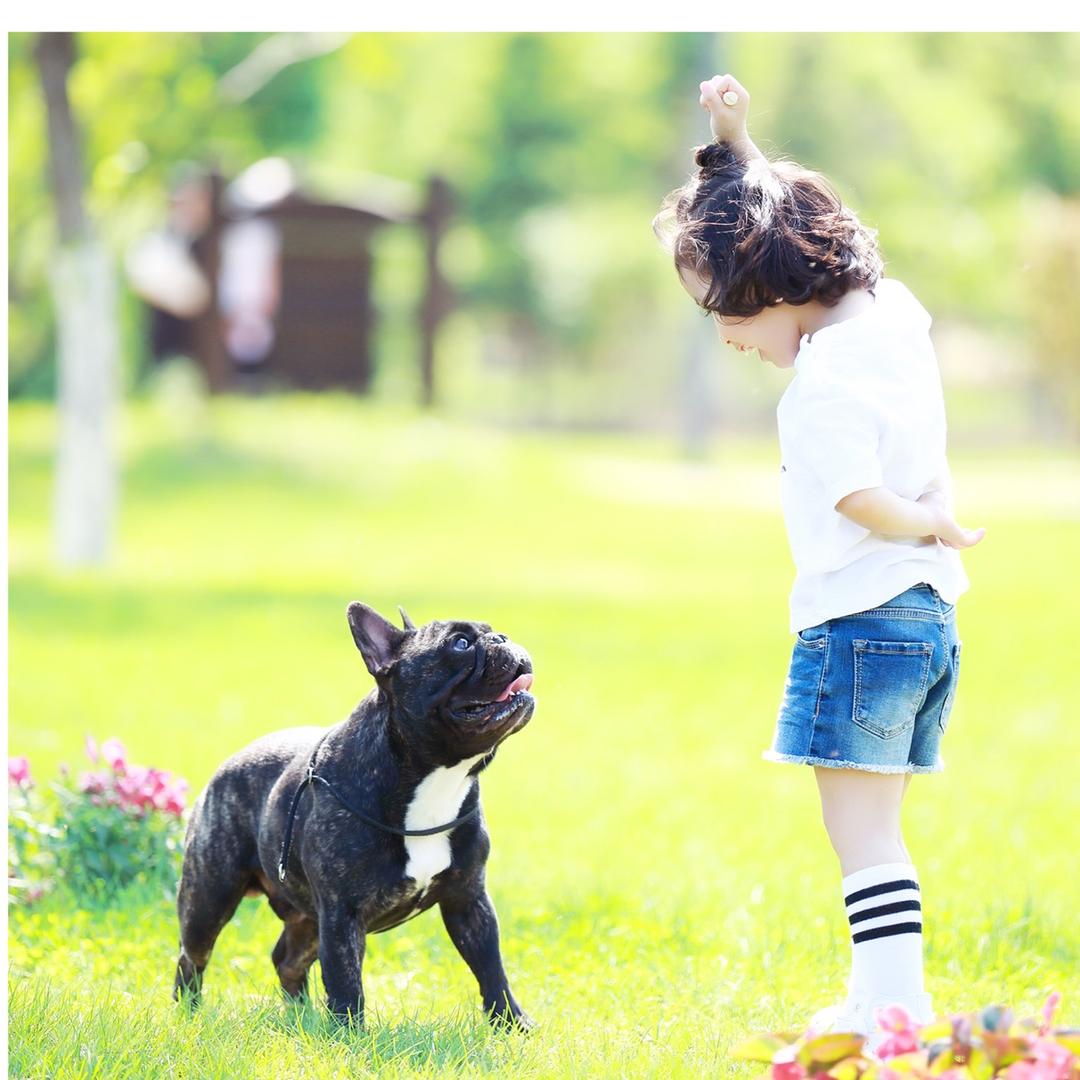 🌂 陪你想当年_，