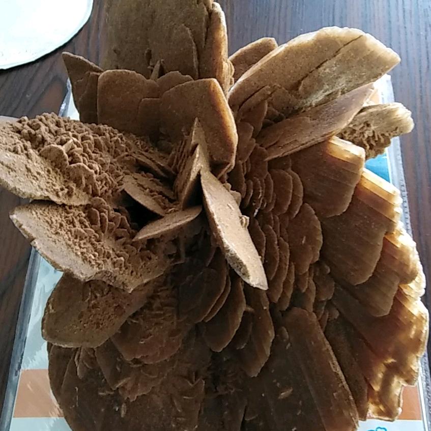 永恒的诺言