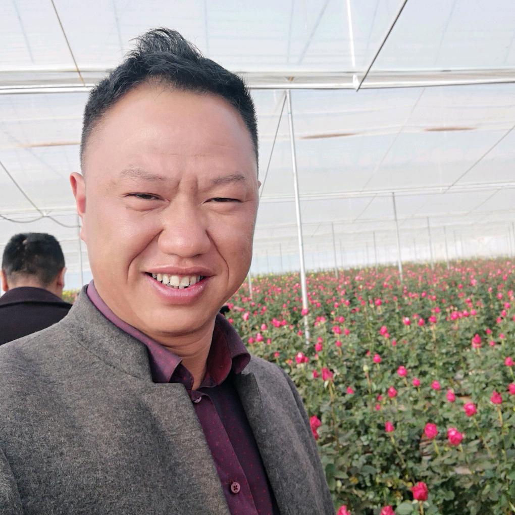 用户小王哥