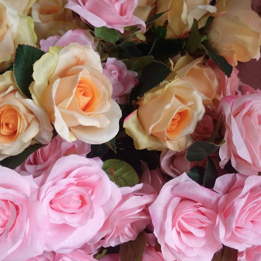 阳光下的一道光