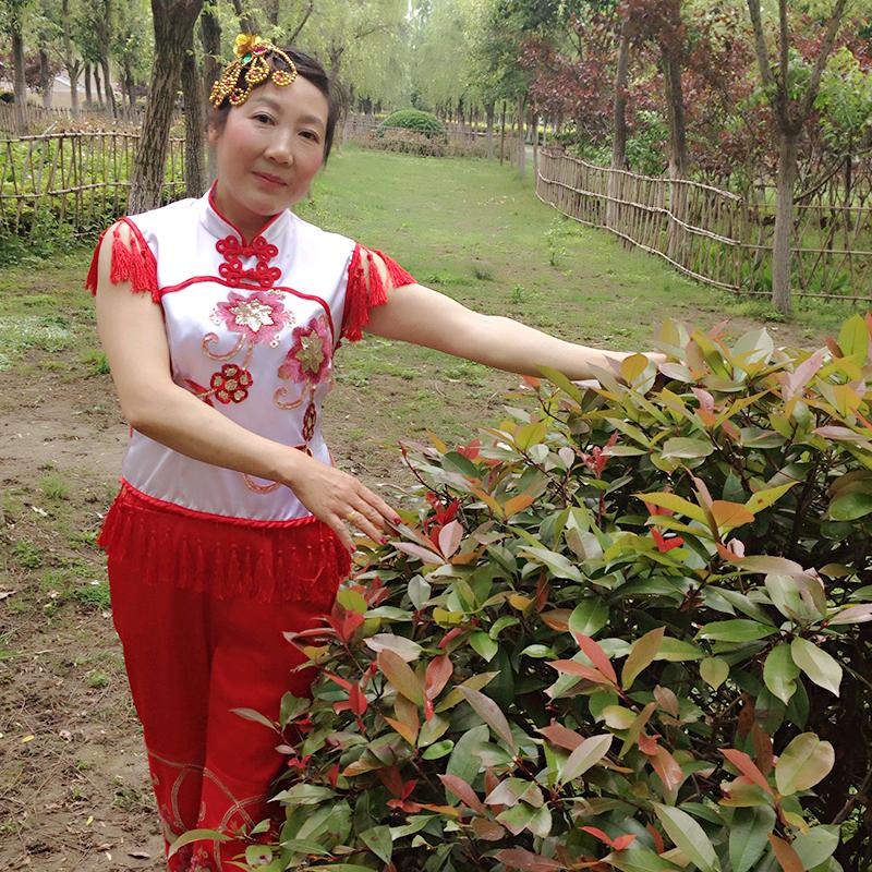 花儿朵朵