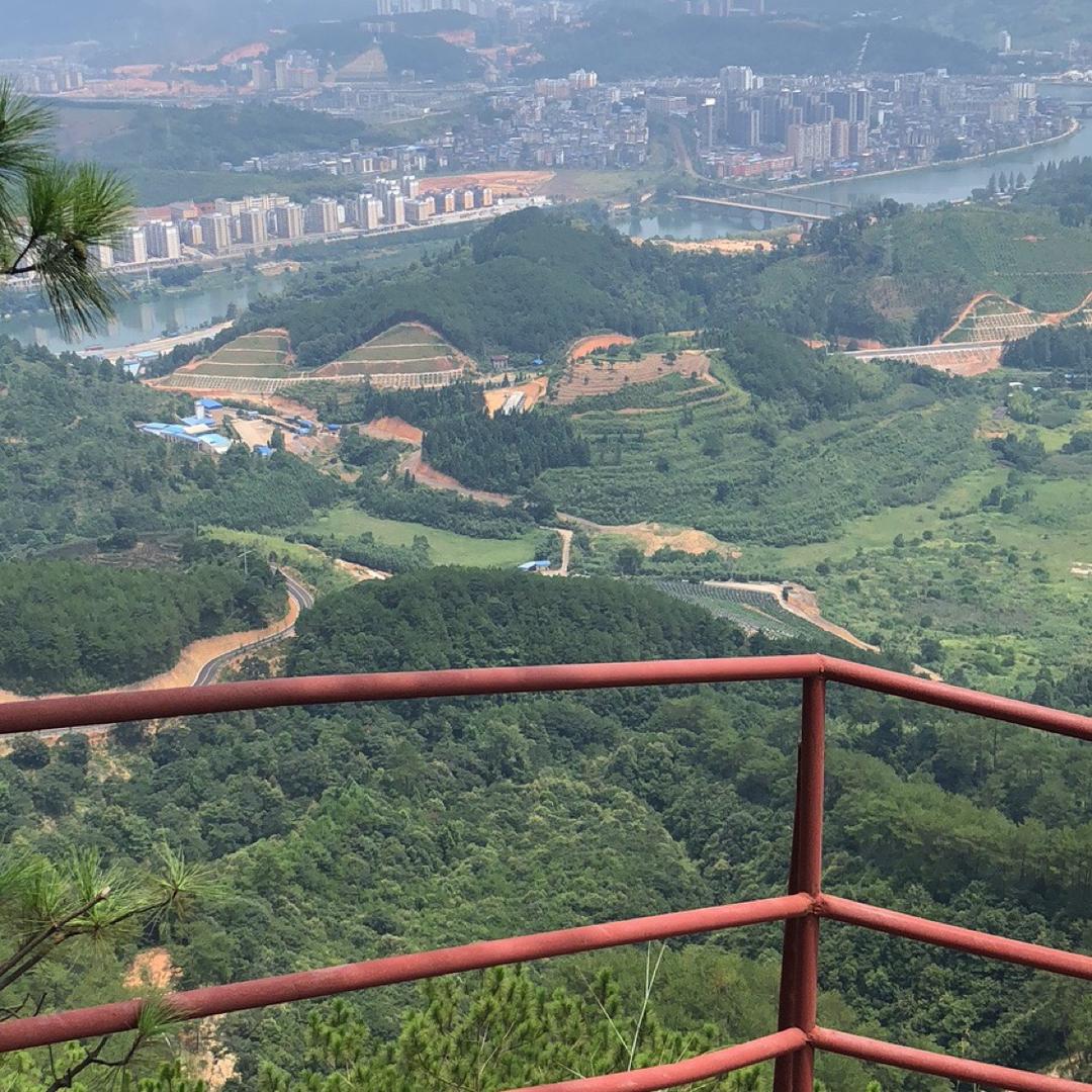 汇阳烫画黄行晖