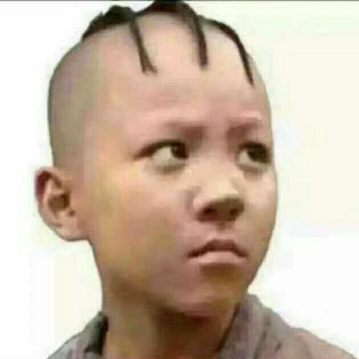 🐲三毛🐲