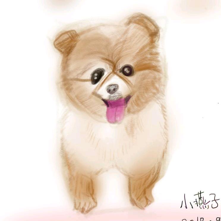 球球