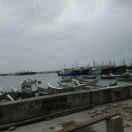 自由小( ͡°❥ ͡°)金鱼  ～💕