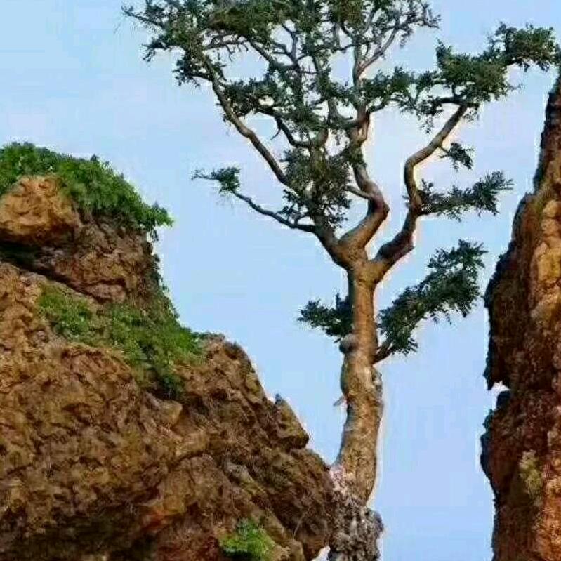 @ℒᎭℯ⃝相´ﾟﾟ｀遇ωಡ：💞ℒᎭℯ⃝