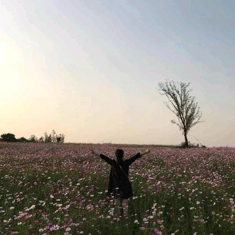 天使的翅膀