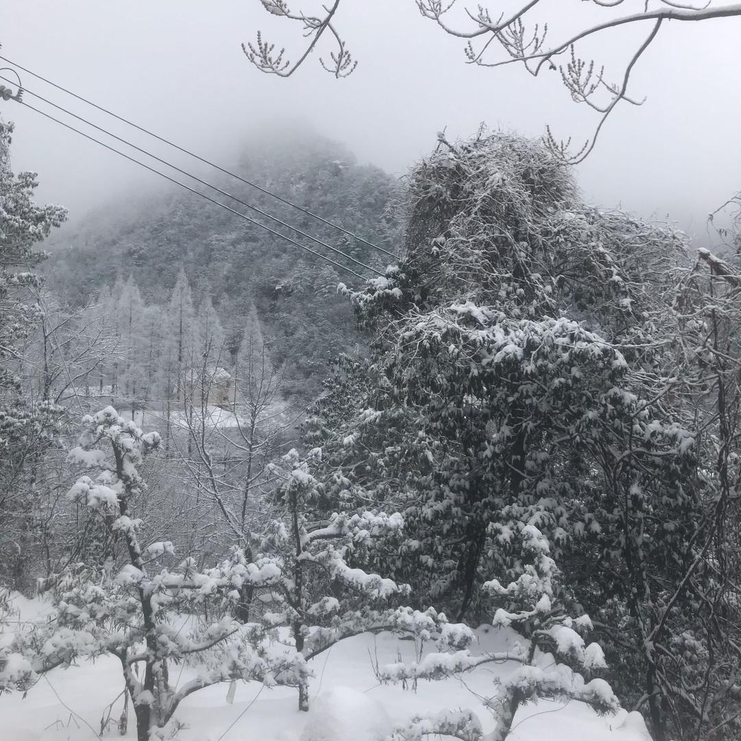 guwei