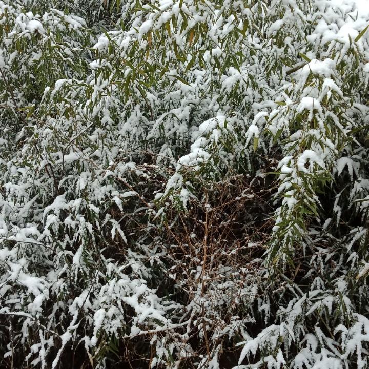 开心快乐的老人