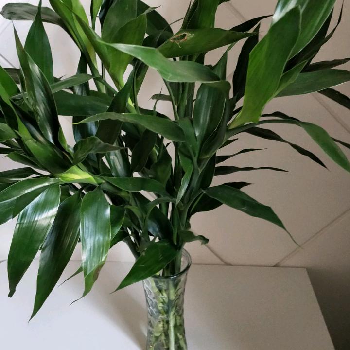 清肤老师